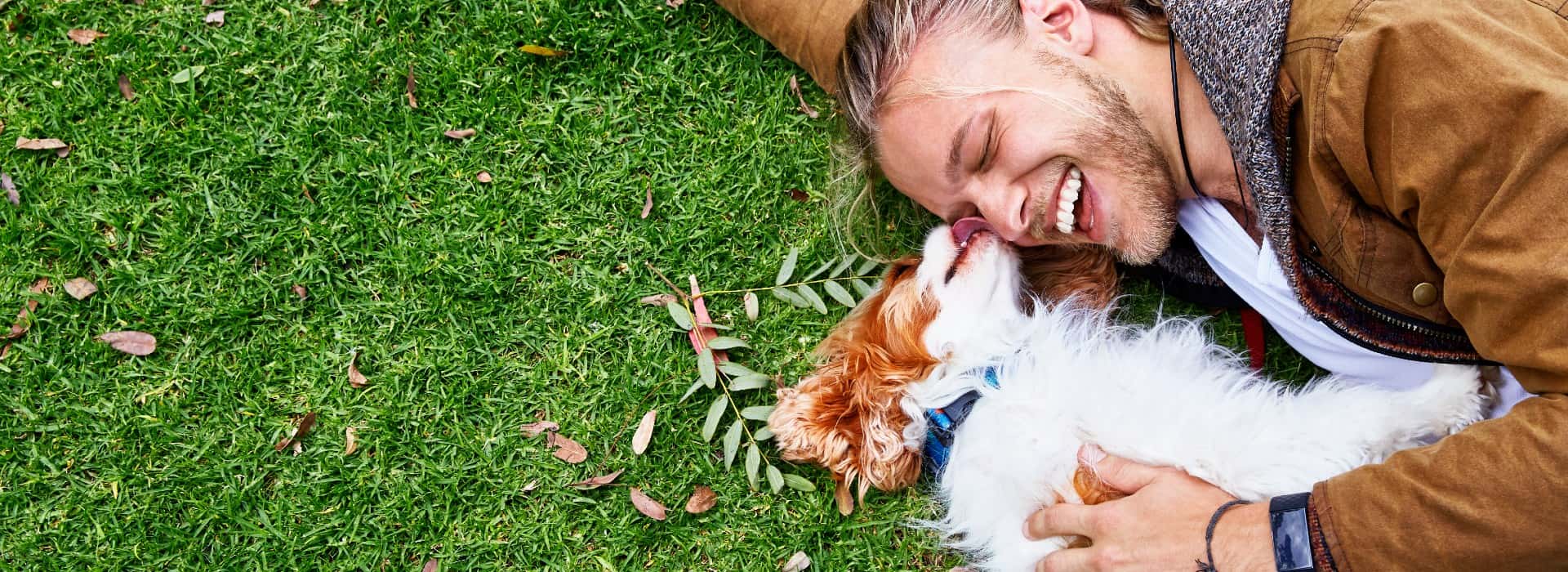 一个男人和一只棕白相间的小狗躺在草地上. 狗舔着男人的脸，男人在笑.