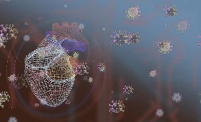Image of heart surrounded by viruses.