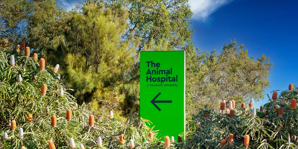 The Animal Hospital welcome sign