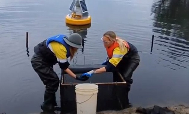 2 researchers in water with equipment