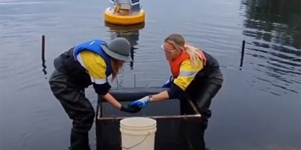 2 researchers in water with equipment