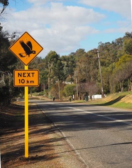 Boddinton sign