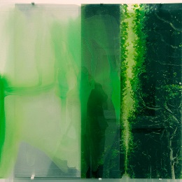 Artwork by Janet LAURENCE, Green Trees, 2005