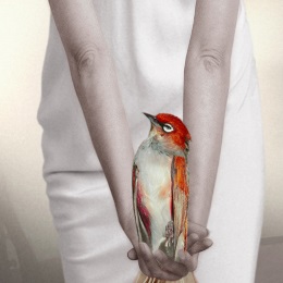 Artwork by Pat BRASSINGTON, Bird in Hand, 2007