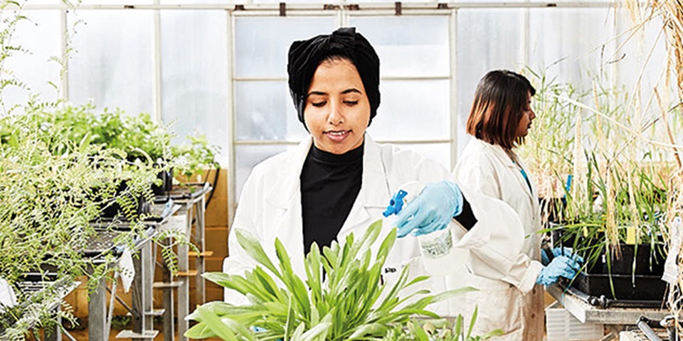 Student researcher in greenhouse