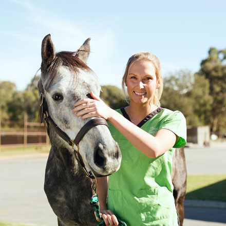 Woman with a horse