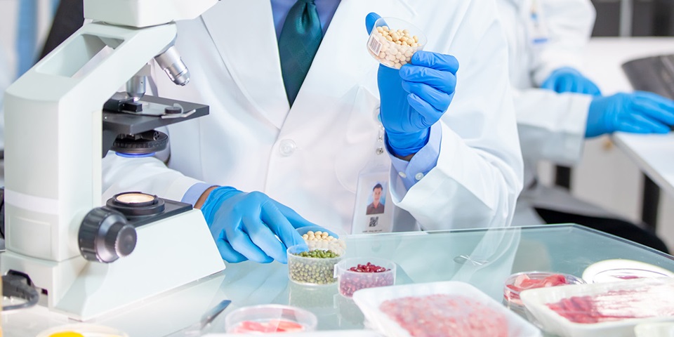 scientist looking at food cells