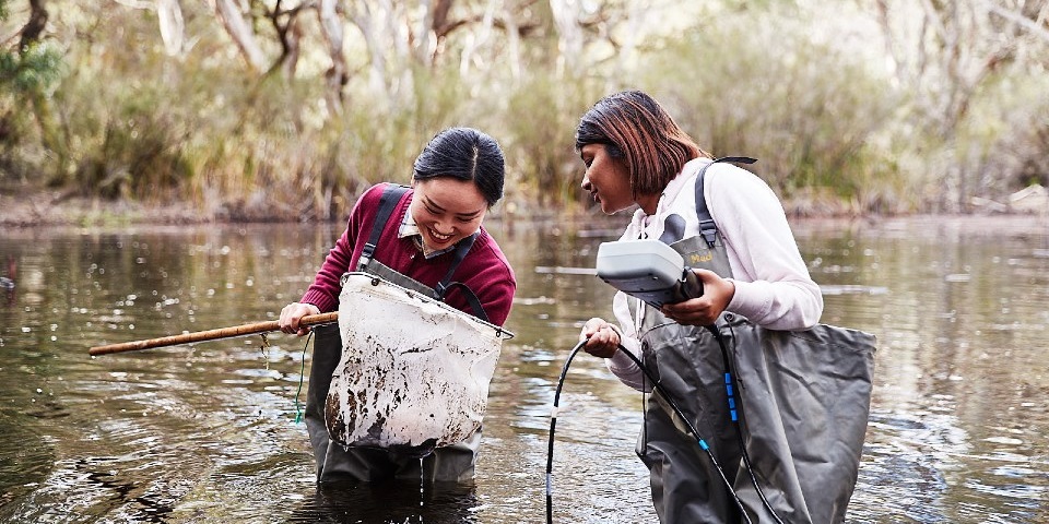Two female students wading in wetlands with nets