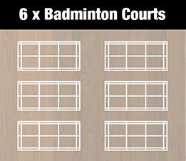 Six badminton courts