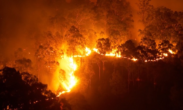 Out of control bushfire