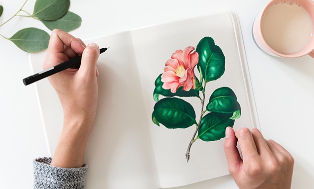 Bird's eye view of a person drawing a flower