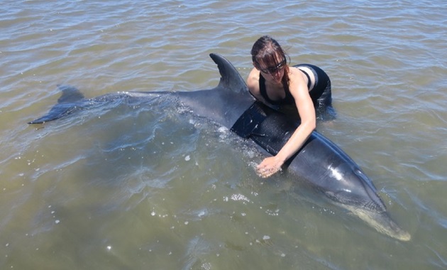 brunette in water hugging dolphin