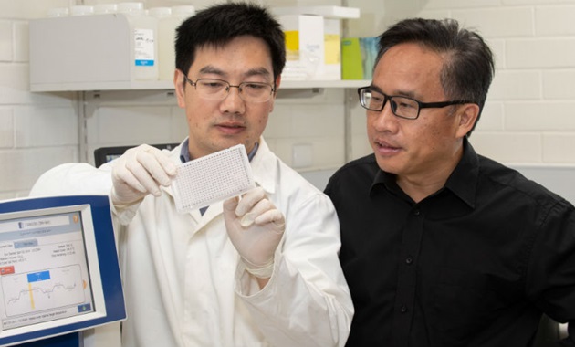 Gaofeng Zhou and Professor Chengdao Li examine a DNA array