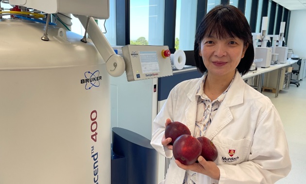 Female scientist in white lab coat standing in laboratory holding three red apples