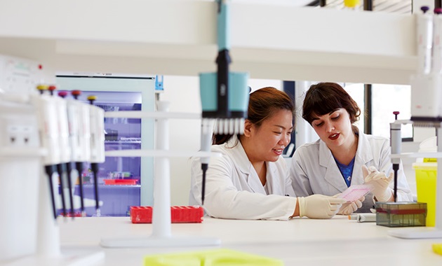 Two students work together in a lab.