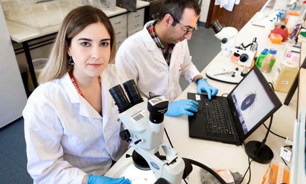 Scientists studying ticks