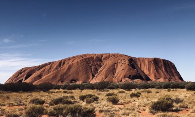 Uluru in the day with desert grass in the foreground