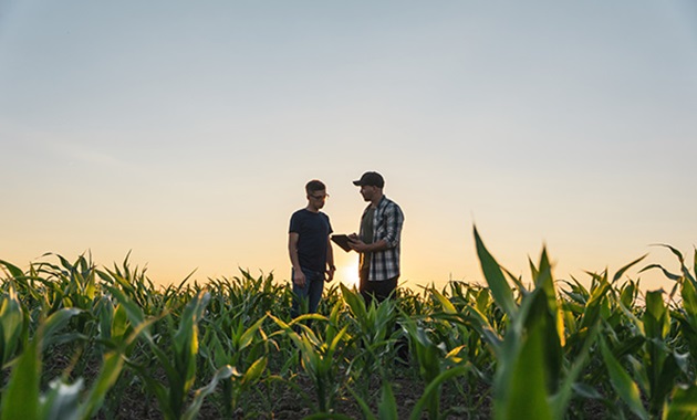 2 farmers standing in wheat field at sunset