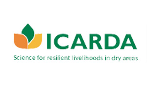 ICARDA Logo