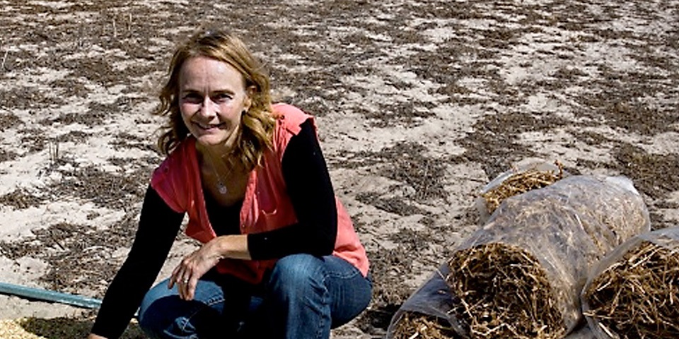 Researcher in field with soil samples