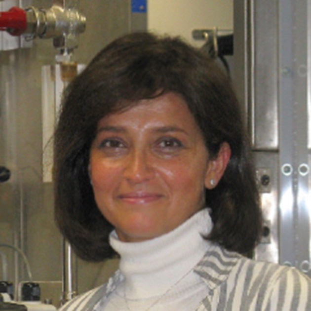 Professor Parisa Bahri