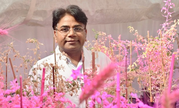 Rajeev Varshney greenhouse