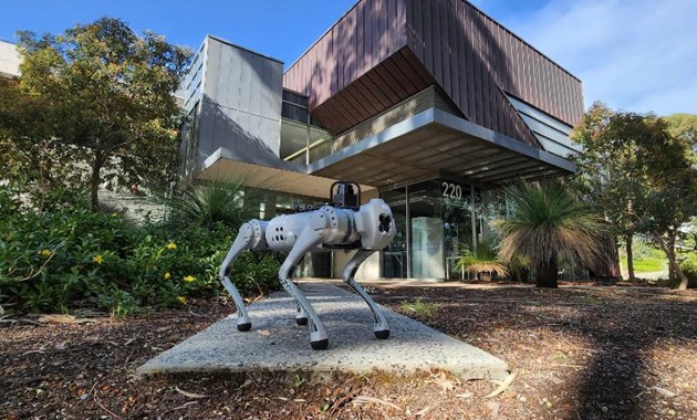robotic dog in front of building