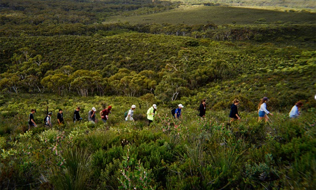 Student group walking in bushland