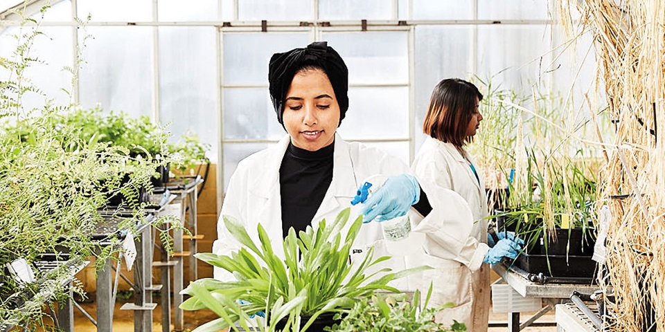 Student in greenhouse with plants