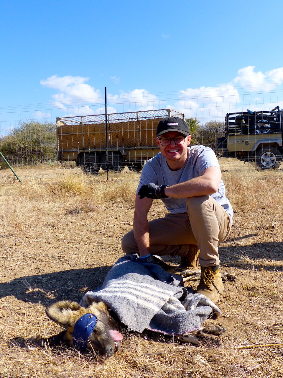 researcher with wild dog