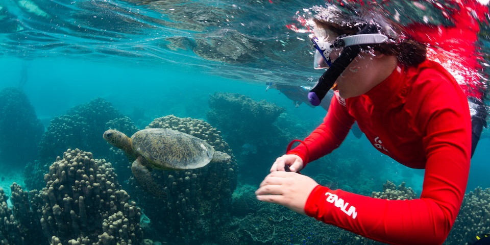 student diving with turtle