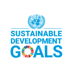 un sustainable development logo